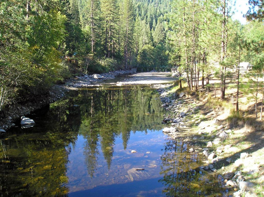 Yosemite Lakes Bunkhouse Cabin 27 Harden Flat Εξωτερικό φωτογραφία